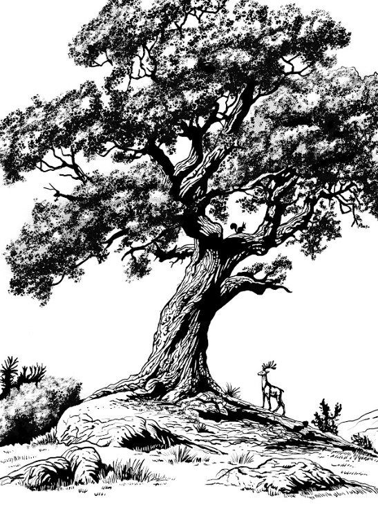 Ilustración de la baraja faire prueba